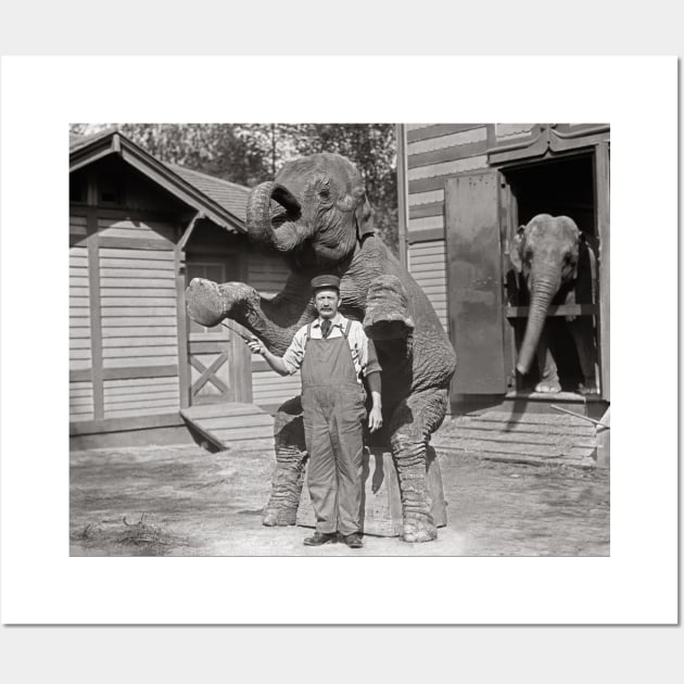 Central Park Zoo Elephants, 1915. Vintage Photo Wall Art by historyphoto